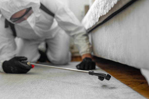 Professional Bed Bug Control technician working in St. Paris, OH