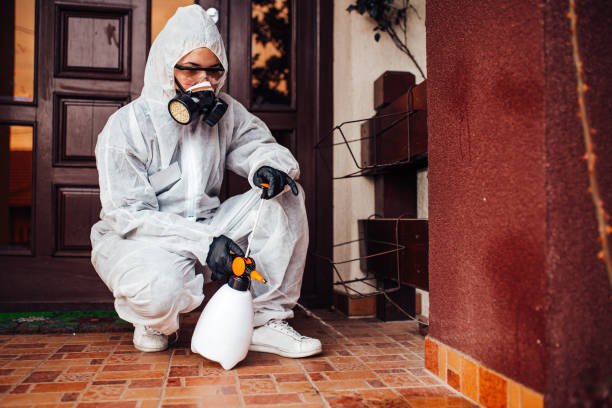 Reliable Bed Bug Control contractor in St. Paris, OH by Nex Pest Control
