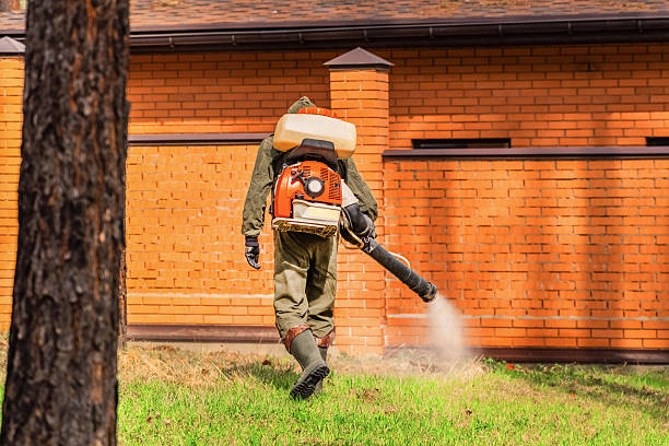 Trusted Emergency Pest Control service in St. Paris, OH - Nex Pest Control